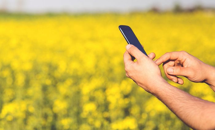 Smartphone in der Hand eines Landwirtes